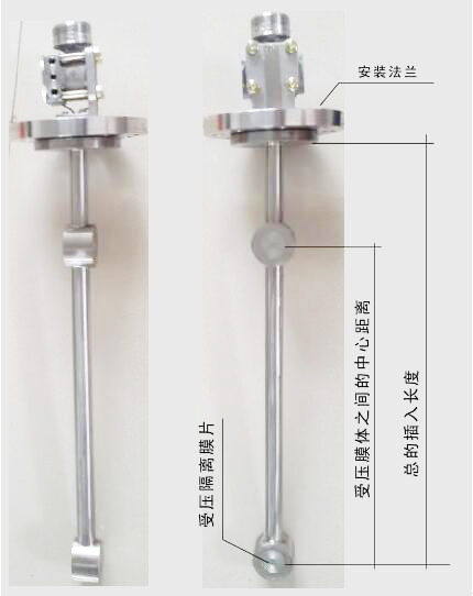 顶装型差压式密度计图示